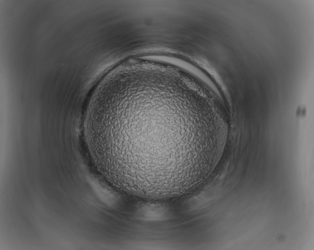 X0000091490063200708161447