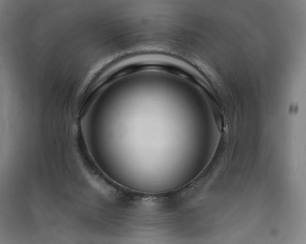 X0000091490064200708161447