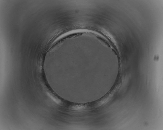 X0000091490065200708161447