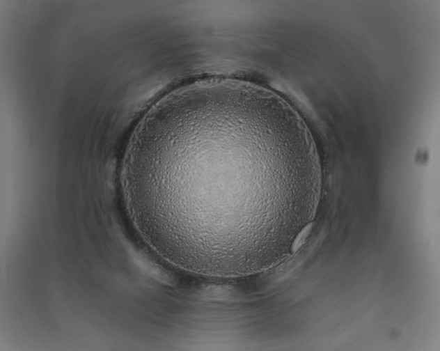 X0000091490066200708161447