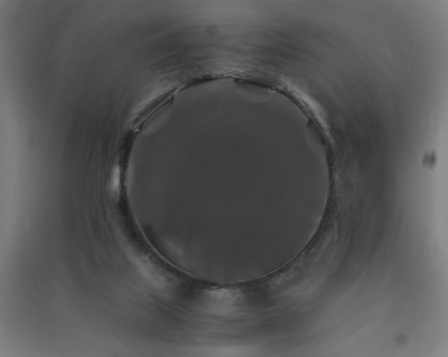 X0000091490067200708161447