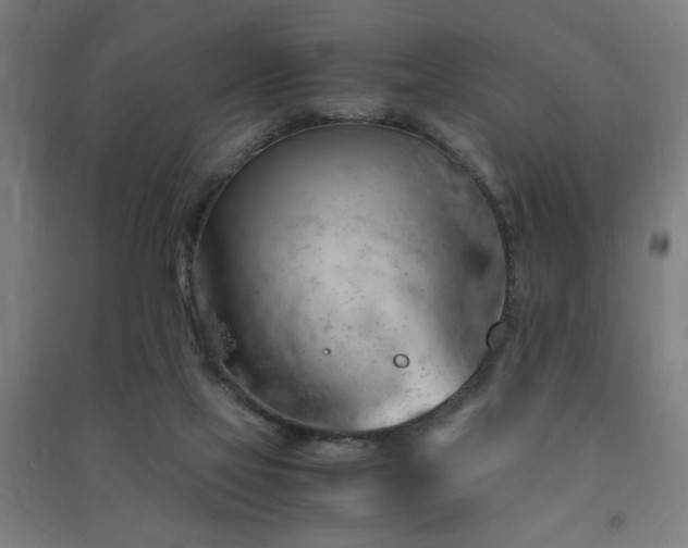 X0000091490069200708161447