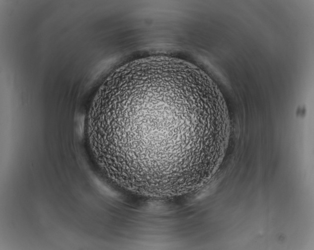 X0000091490070200708161447