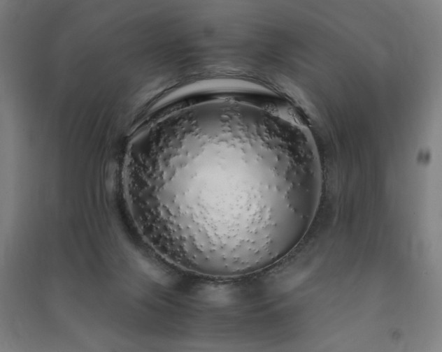 X0000091490071200708161447