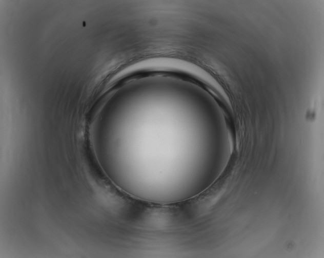 X0000091490072200708161447