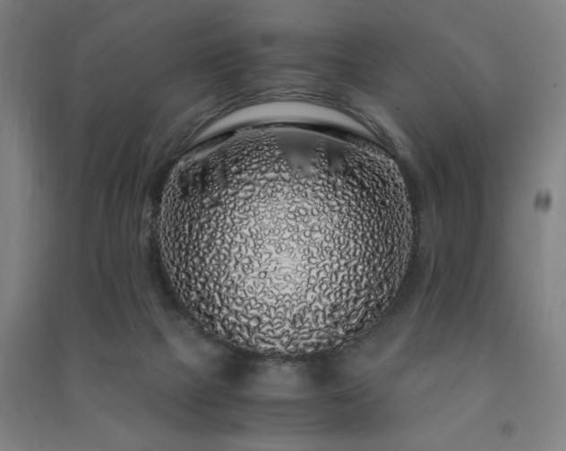 X0000091490073200708161447