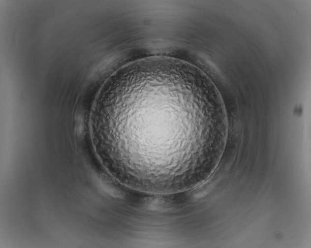 X0000091490074200708161447