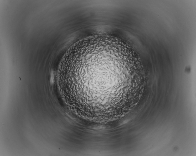 X0000091490075200708161447