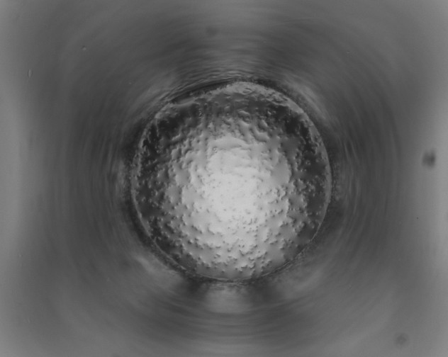 X0000091490077200708161447