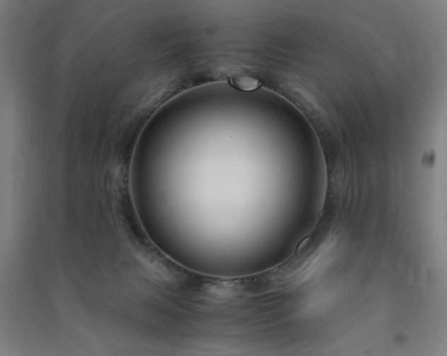 X0000091490079200708161447