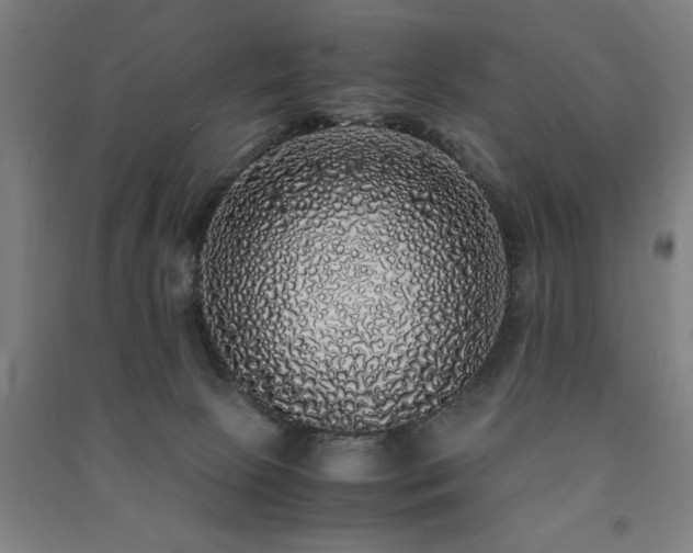 X0000091490081200708161447