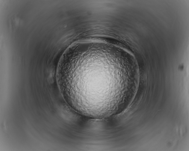 X0000091490082200708161447