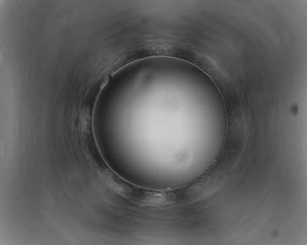 X0000091490083200708161447