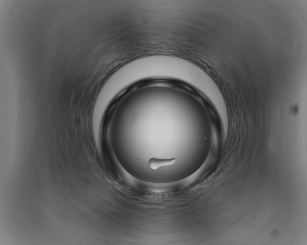 X0000091490084200708161447
