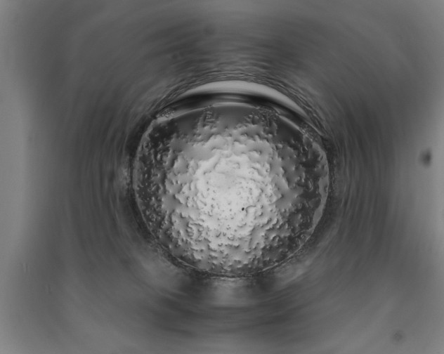X0000091490085200708161447