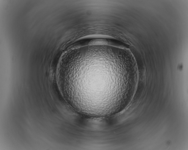 X0000091490086200708161447