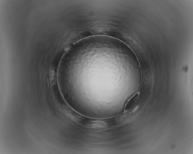 X0000091490087200708161447