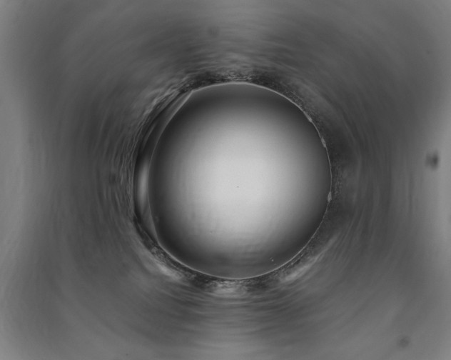 X0000091490088200708161447