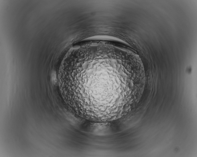 X0000091490089200708161447