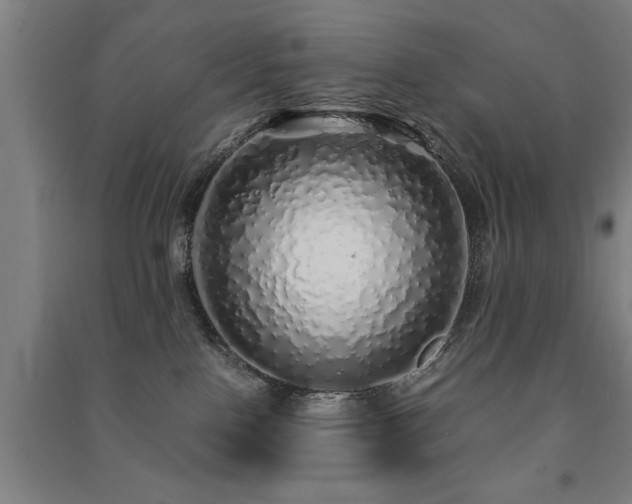 X0000091490090200708161447