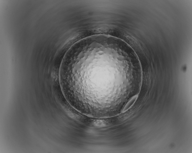 X0000091490091200708161447
