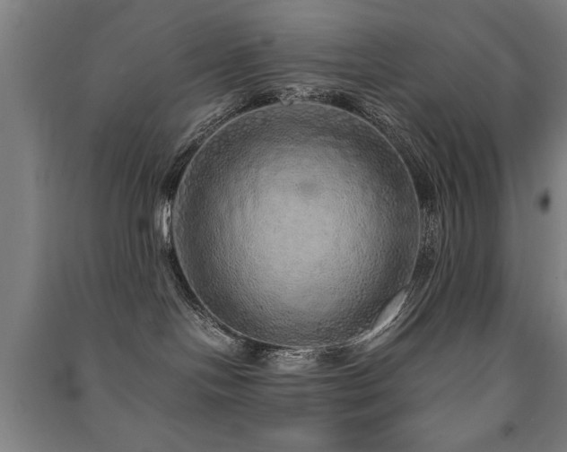 X0000091490094200708161447