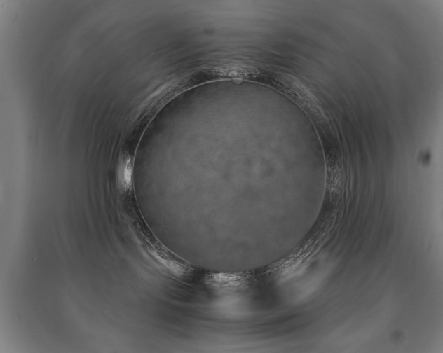 X0000091490095200708161447