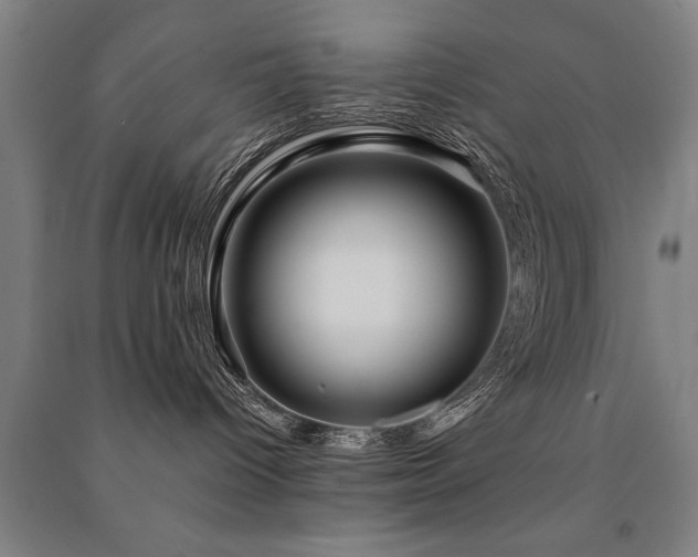 X0000091490096200708161447