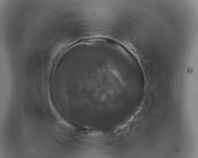 X0000091490097200708161446
