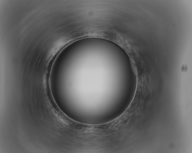 X0000091490098200708161446