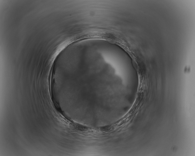 X0000091490099200708161446
