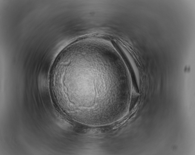 X0000091490100200708161446