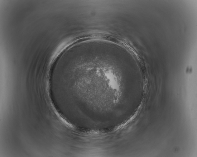 X0000091490101200708161446
