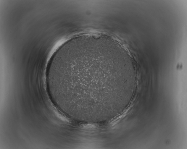 X0000091490102200708161446