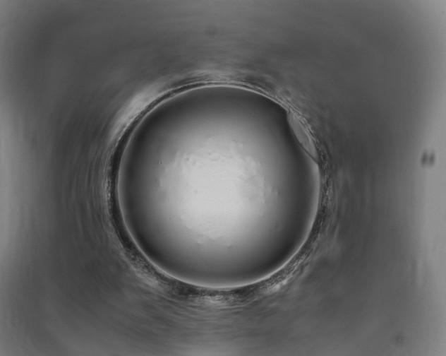 X0000091490103200708161446
