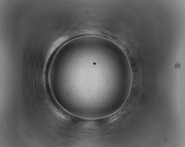 X0000091490104200708161446