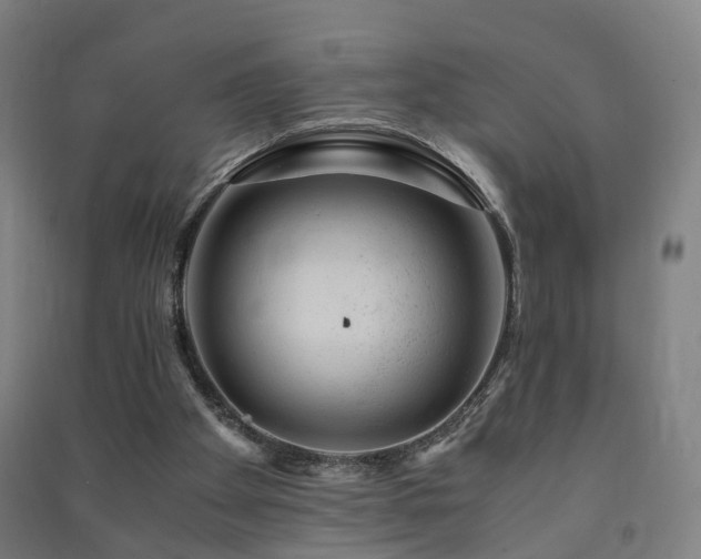X0000091490105200708161446