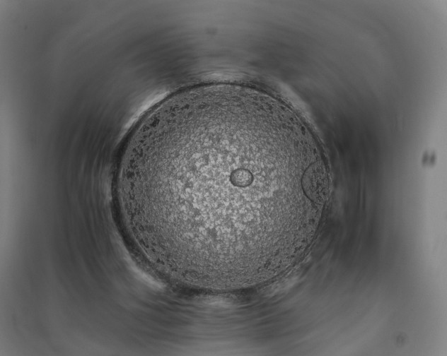 X0000091490106200708161446