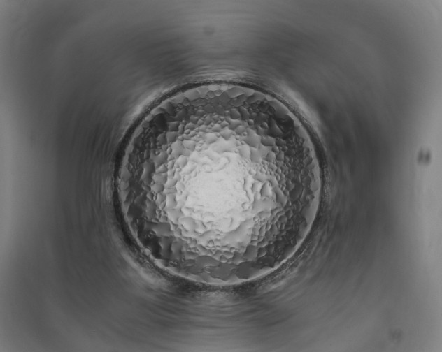 X0000091490107200708161446