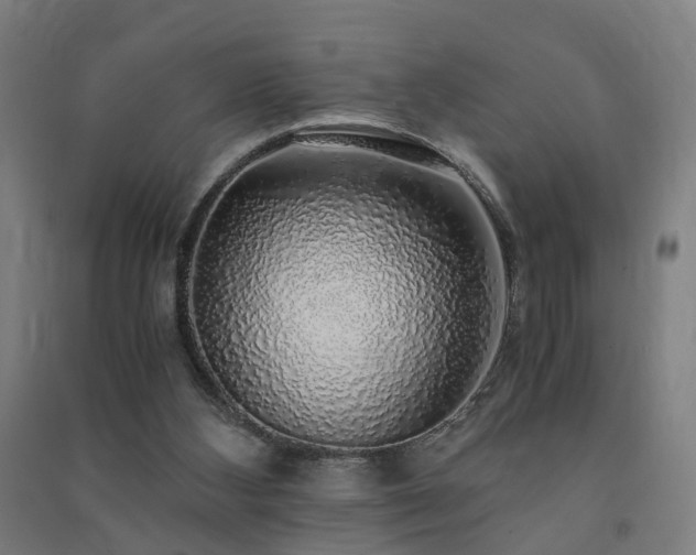 X0000091490108200708161446