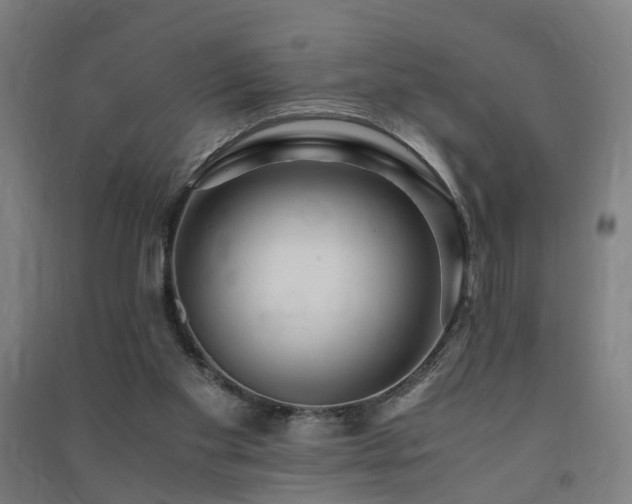 X0000091490109200708161446