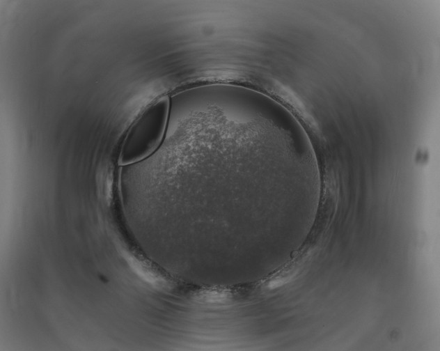 X0000091490110200708161446