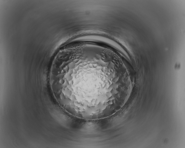 X0000091490111200708161446