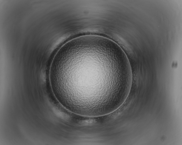 X0000091490112200708161446