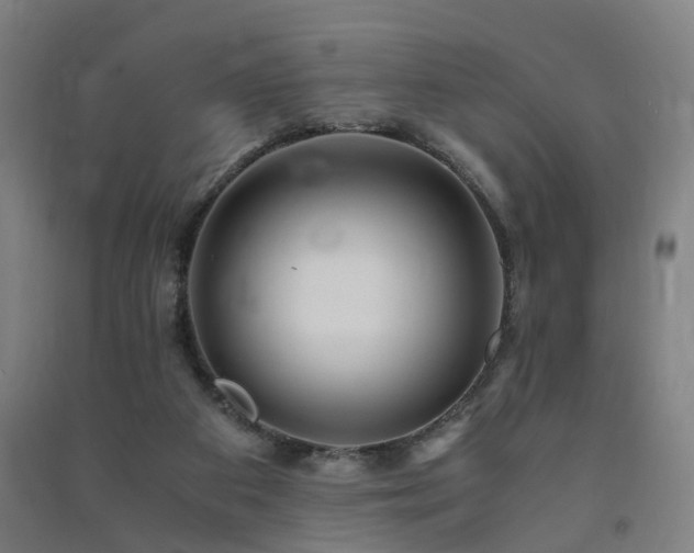 X0000091490113200708161446