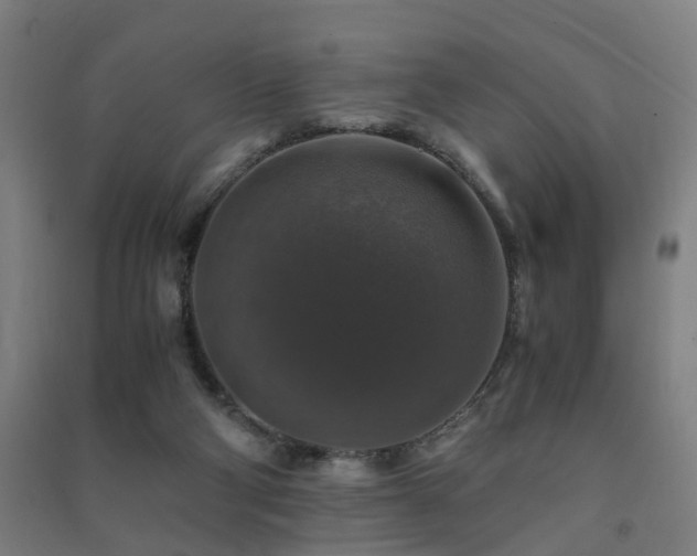 X0000091490114200708161446
