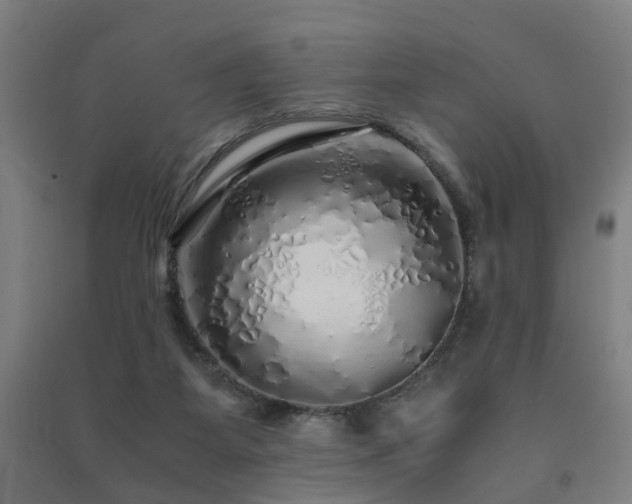 X0000091490115200708161446