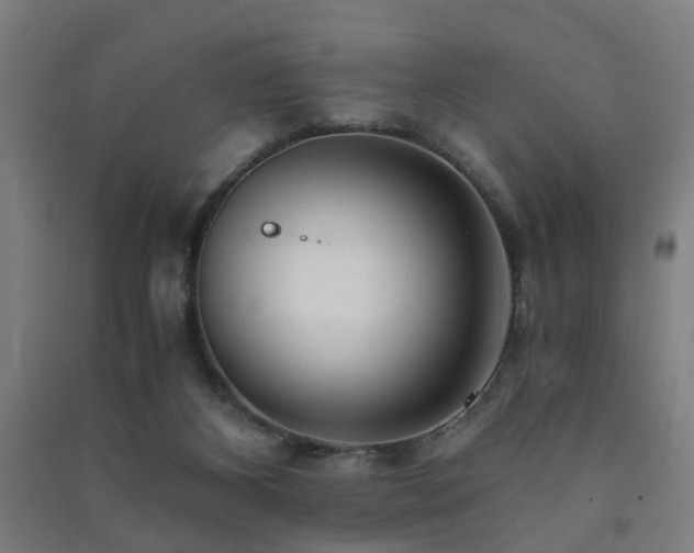 X0000091490116200708161446