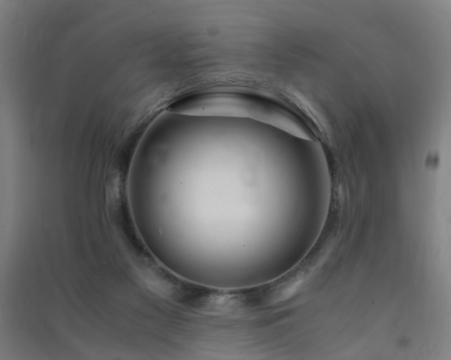 X0000091490117200708161446