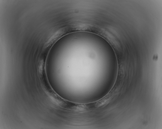 X0000091490118200708161446